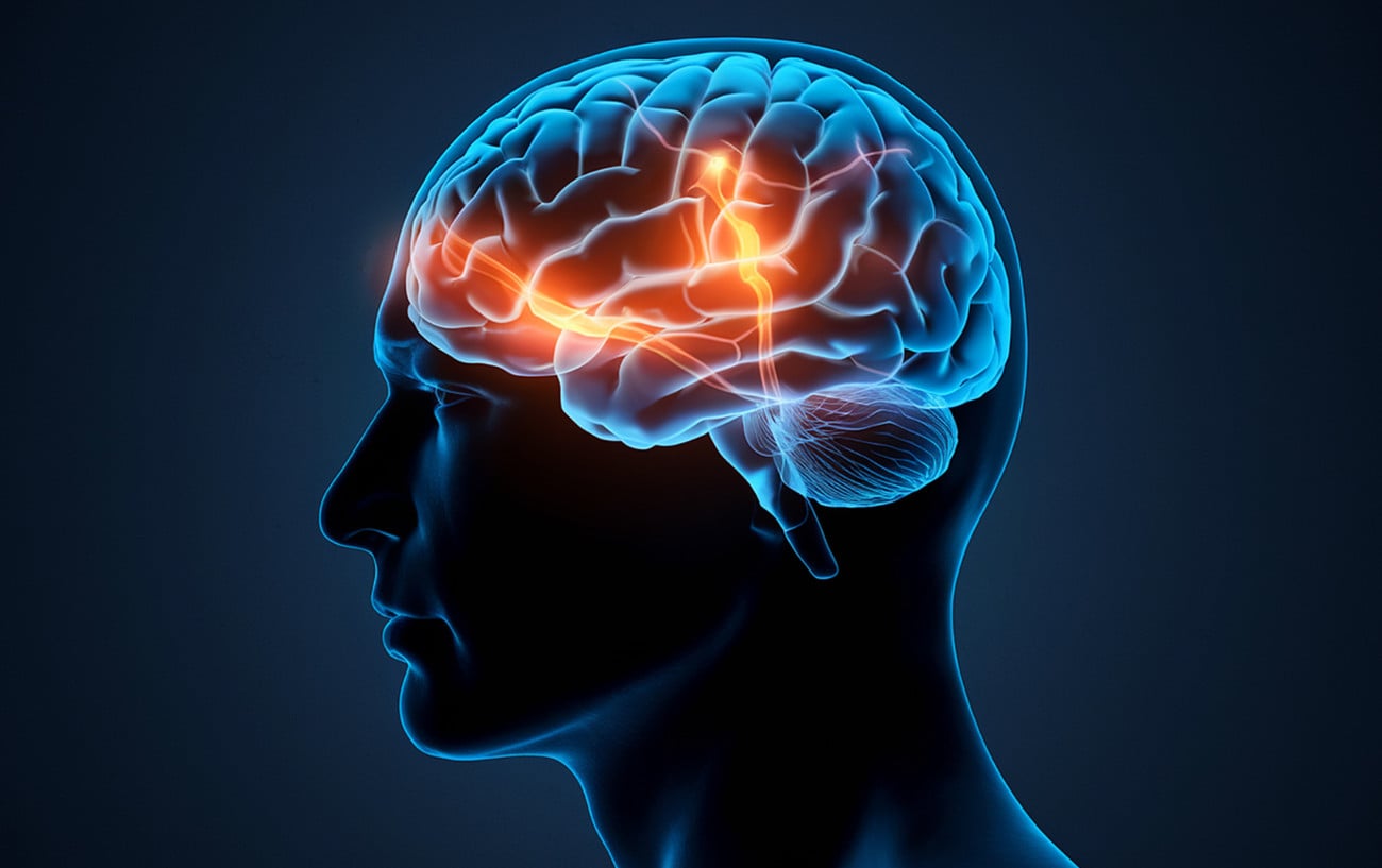 Can Zapping Your Brain Make You Run Faster? 1 A brain.