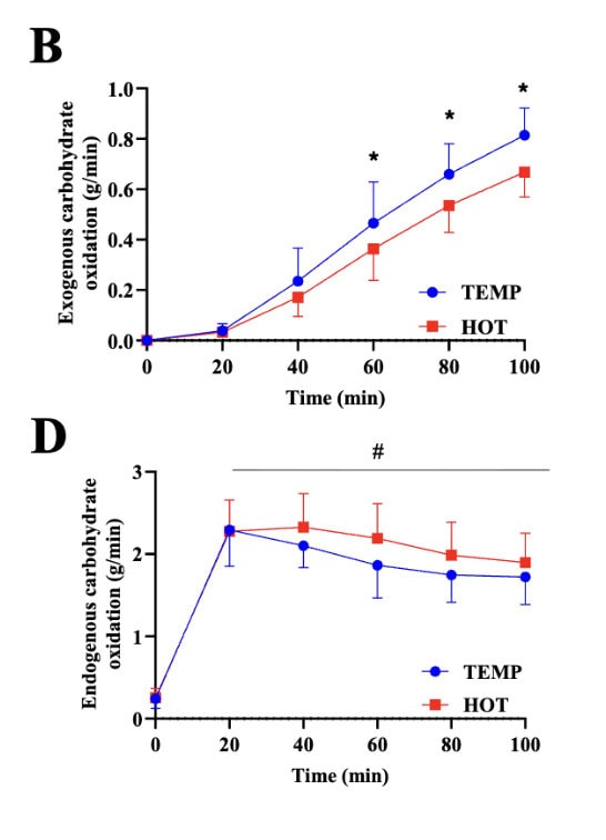 Heat, Hills, and Fueling: What’s Breaking Your Running Performance 2