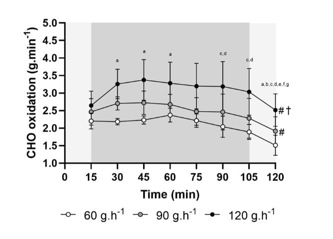 The New High-Carb Study That's Rocking the Running World 1
