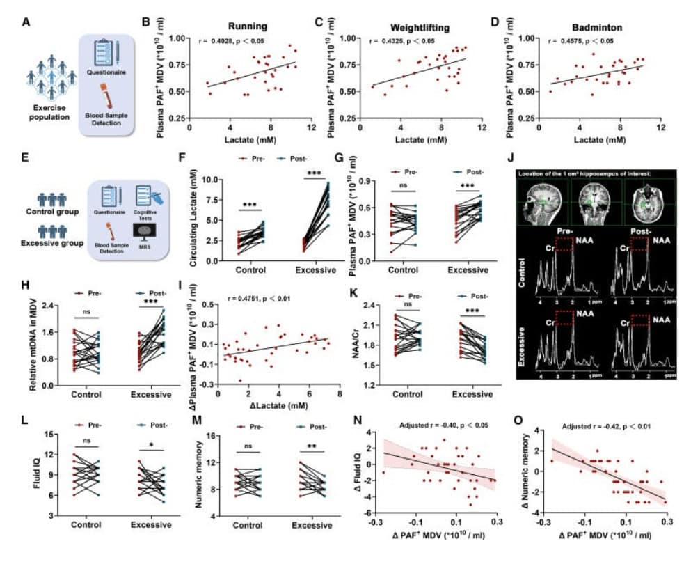 When Hard Training Backfires: Can You Push Intensity Too Far For Your Brain? 5