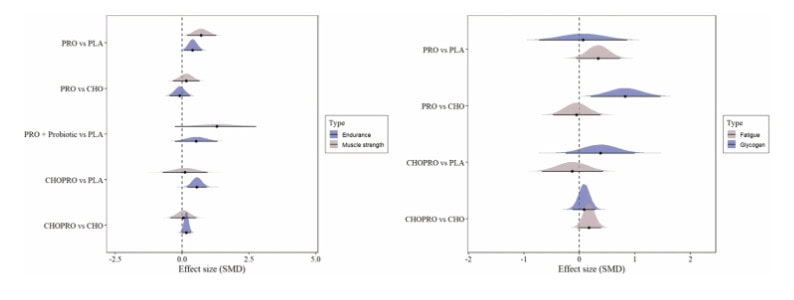 Do Protein Supplements Actually Work? 1