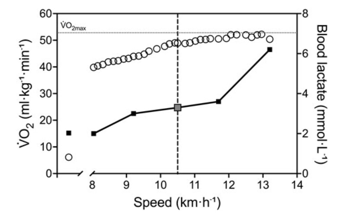 How The World’s Fastest 80-Year-Old Defies Aging Physiology 1