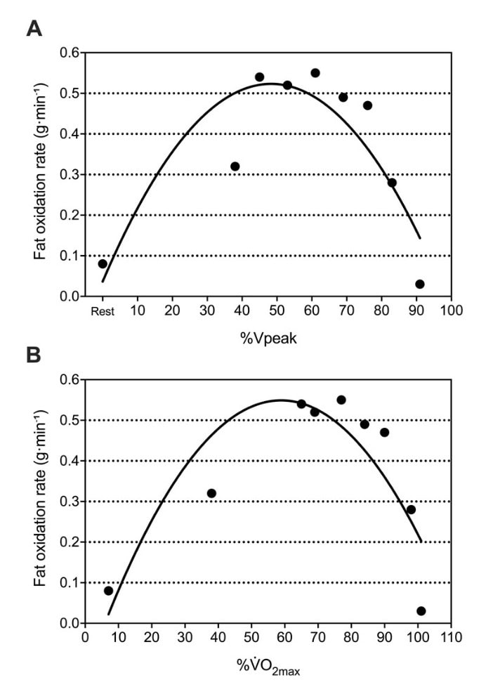 How The World’s Fastest 80-Year-Old Defies Aging Physiology 2