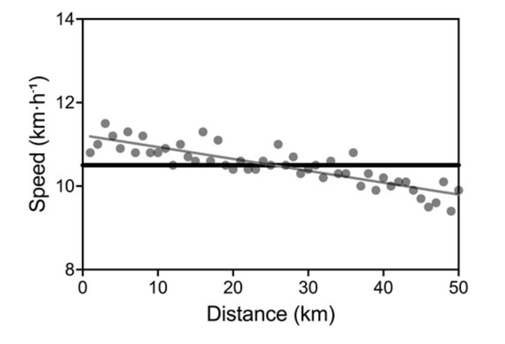 How The World’s Fastest 80-Year-Old Defies Aging Physiology 3