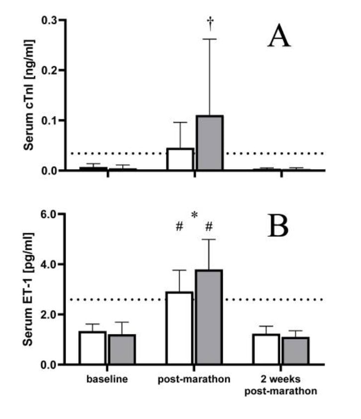 Does a Marathon Stress Every Heart the Same Way? 2