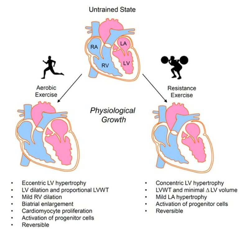 The VO2 Max Myth That Runners Need To Ignore 2 The VO2 Max Myth That Runners Need To Ignore 2
