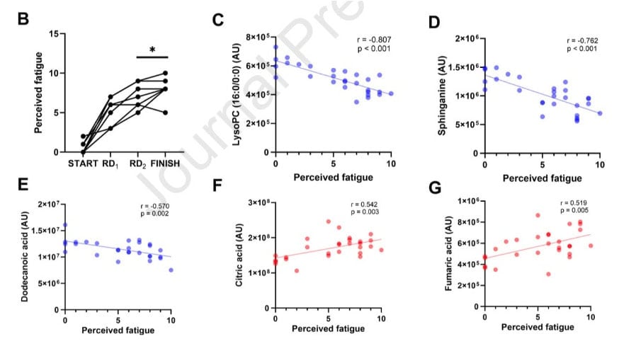 Are You Really Overtrained? What The Tour de France Just Taught Us About Fatigue 3