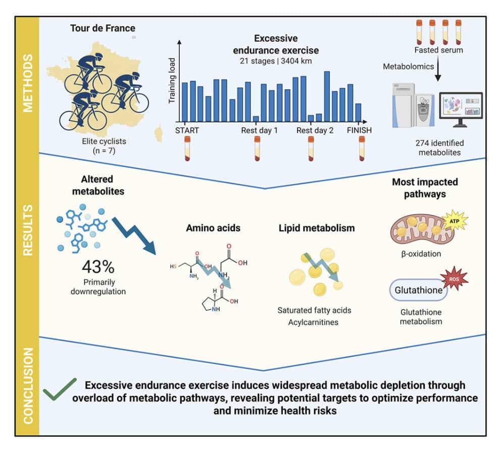 Are You Really Overtrained? What The Tour de France Just Taught Us About Fatigue 4