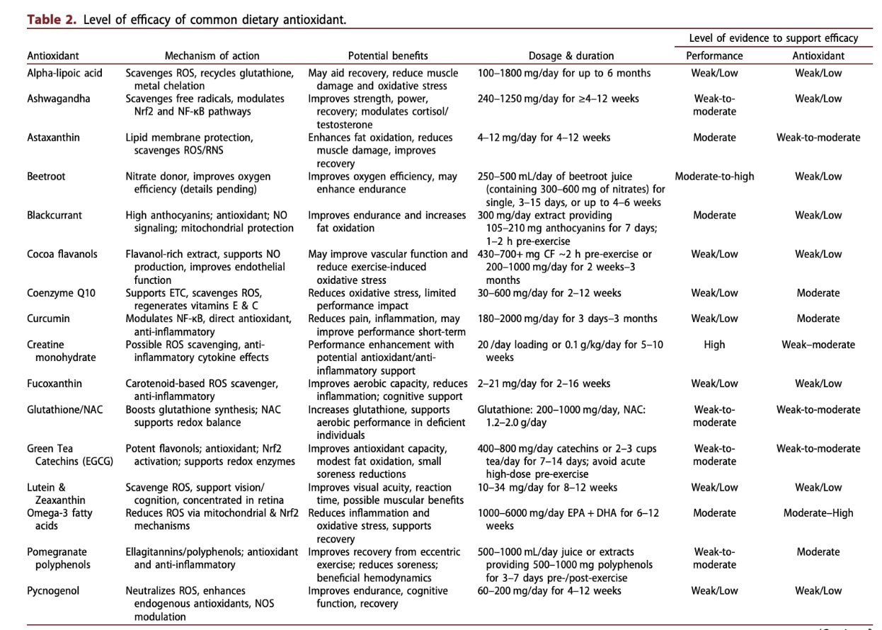 Should Runners Take Antioxidants? The Surprising Reason More Isn’t Always Better 2