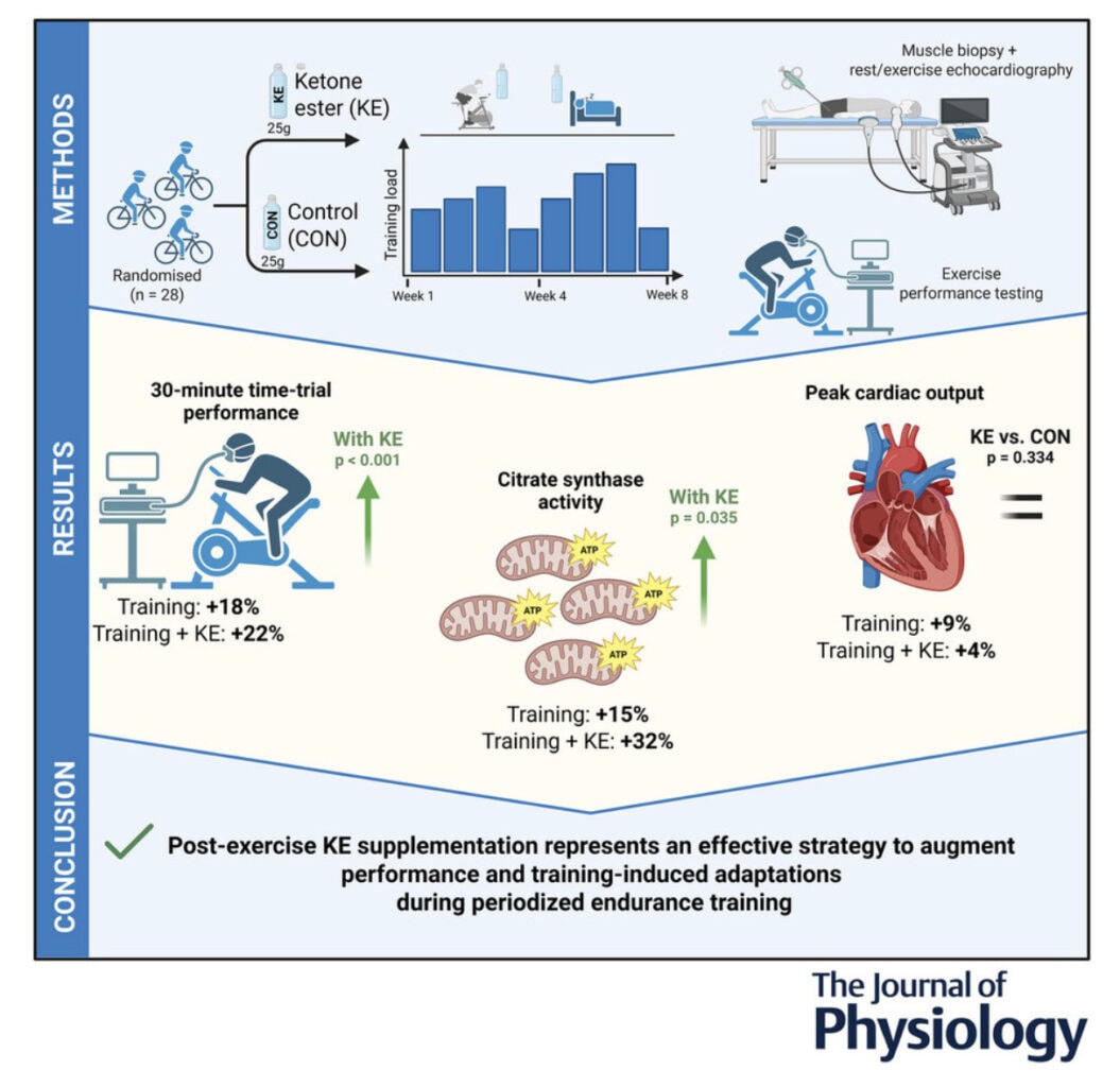 Ketones Might Be the Training Edge You’re Missing 2 Ketones Might Be the Training Edge You’re Missing 1