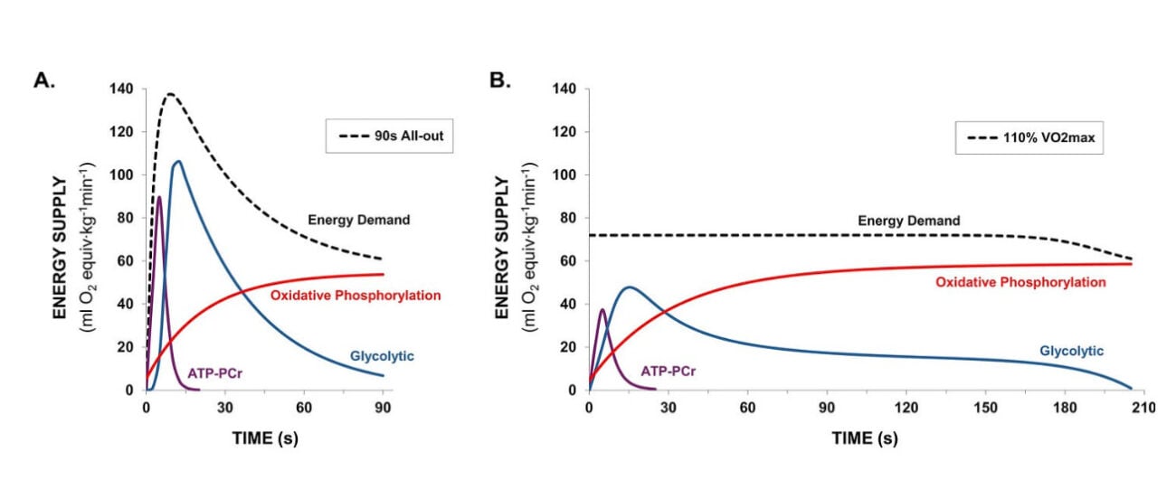 Your Body Doesn't Know What "Anaerobic" Means 1
