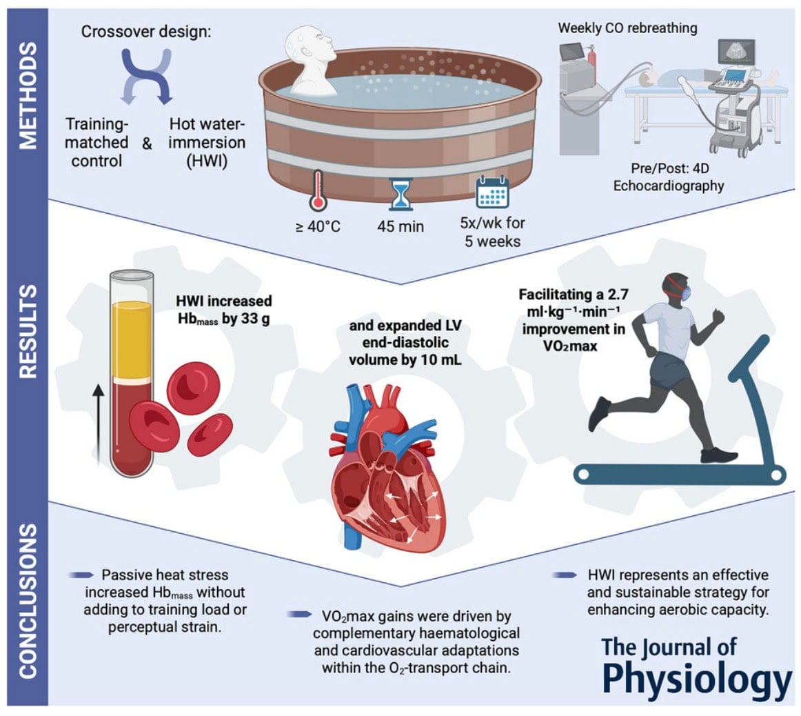 Why VO2 Max Still Matters (And How To Improve It)