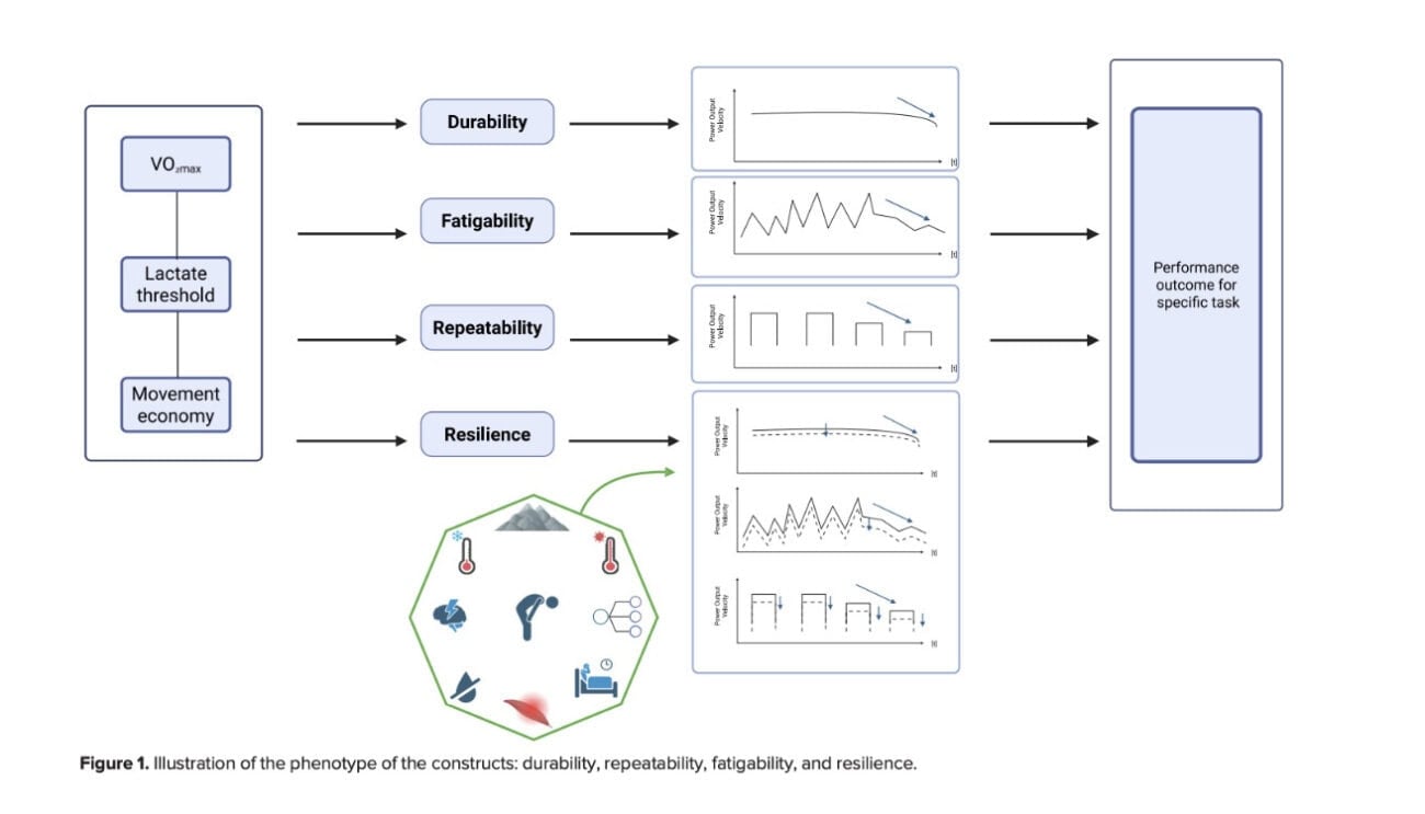 Durability, Fatigability, Repeatability, Resilience: The New Language of Endurance Running 1