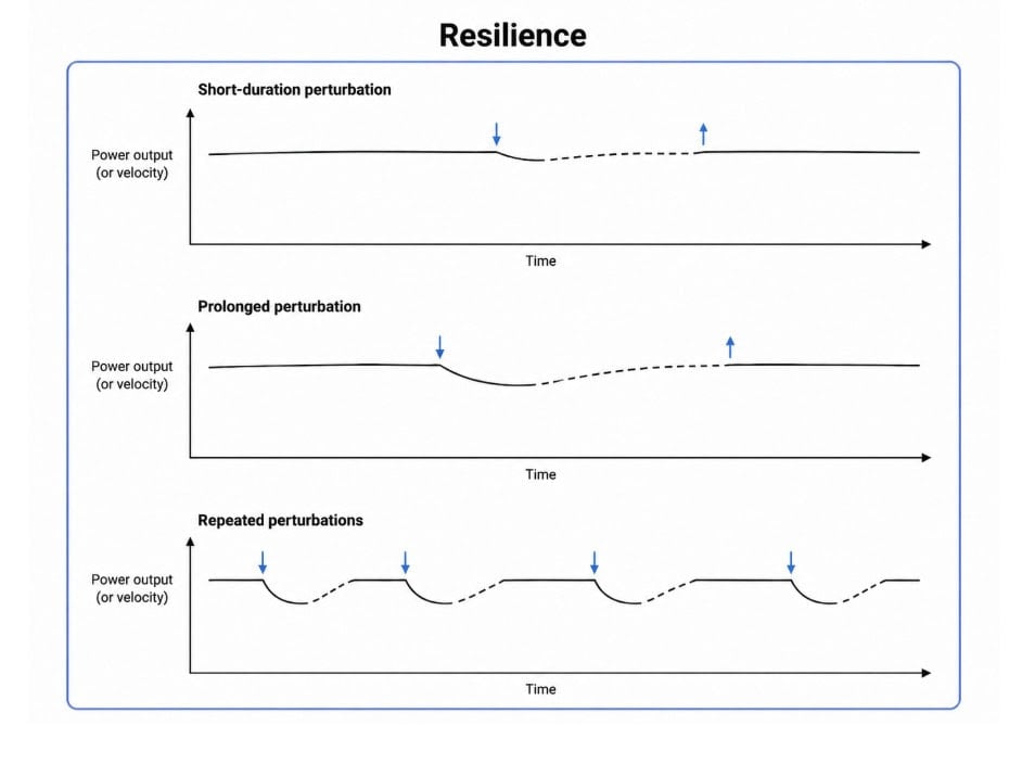 Durability, Fatigability, Repeatability, Resilience: The New Language of Endurance Running 5