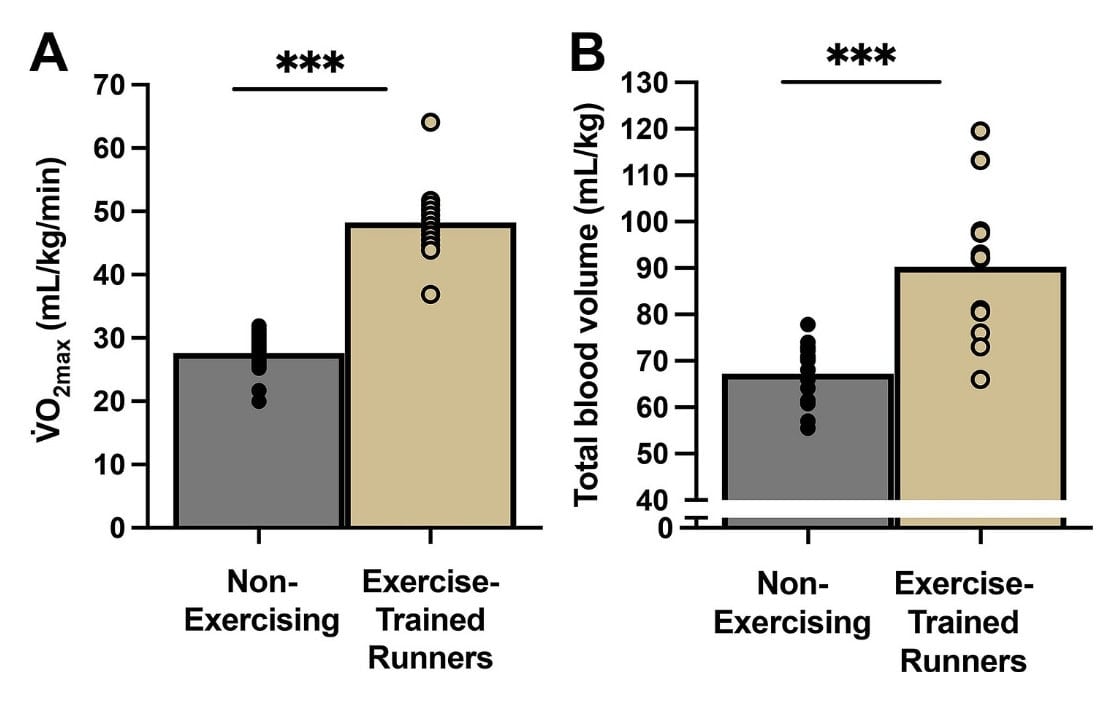 What Happens to Your Body When You Never Stop Running? 2