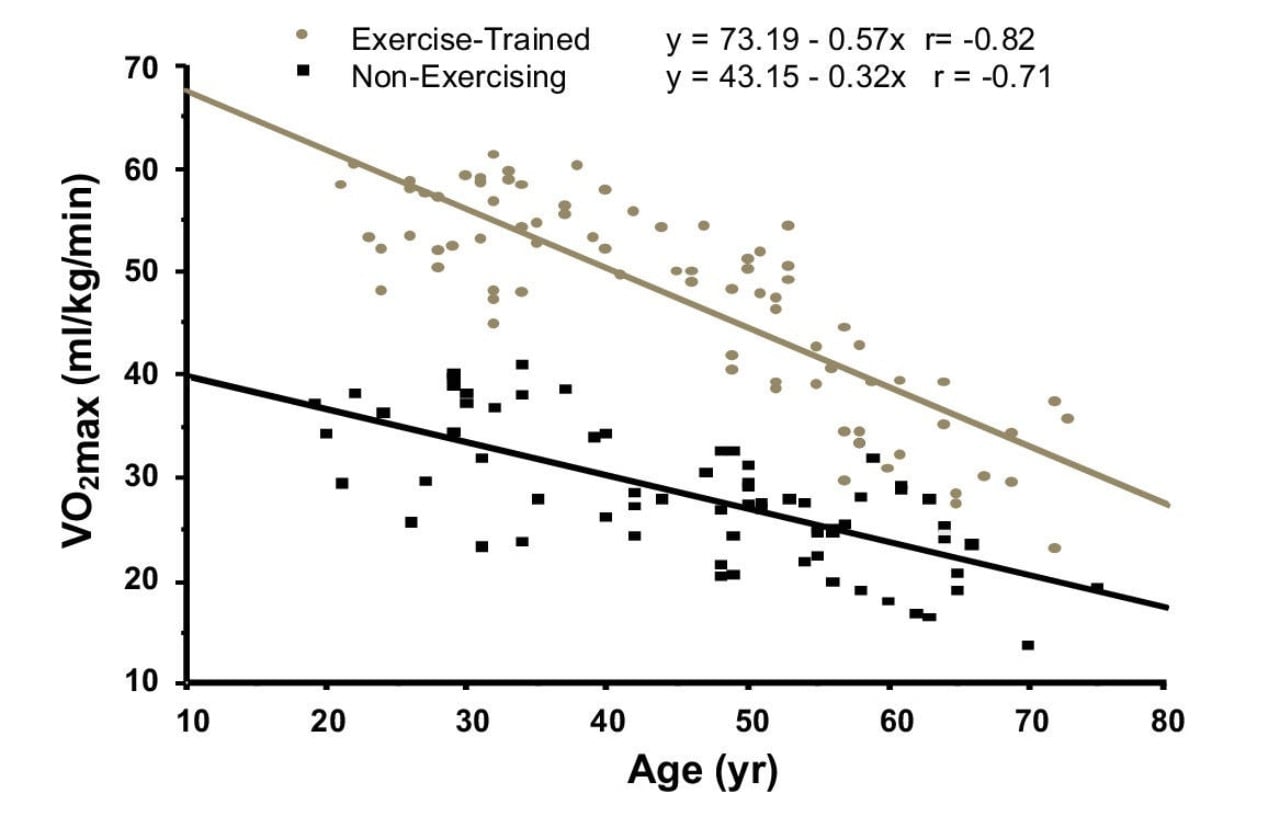 What Happens to Your Body When You Never Stop Running? 3