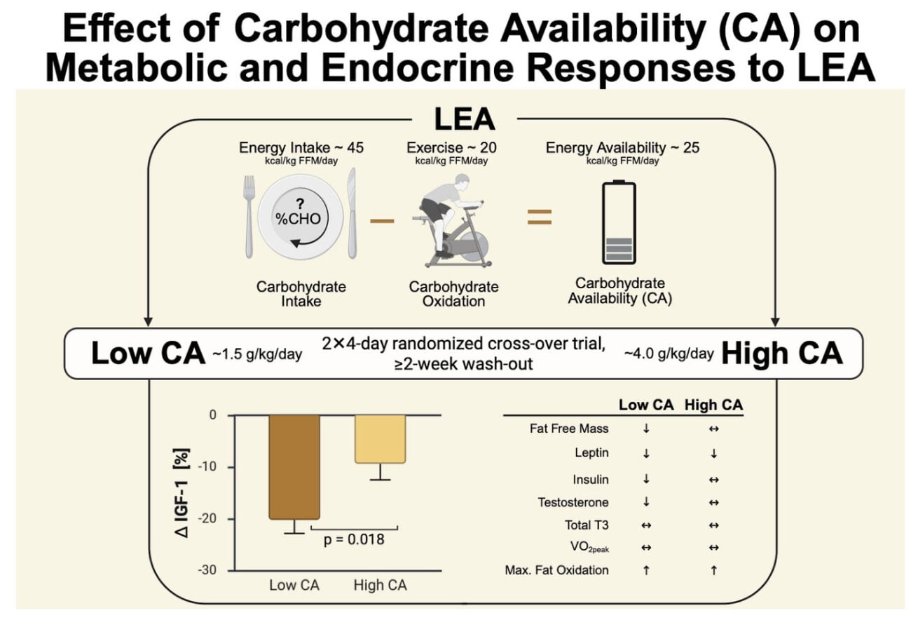 Calories Aren't the Whole Story: Why Carbohydrate Availability Matters For Runners 2 Calories Aren't the Whole Story: Why Carbohydrate Availability Matters For Runners 2