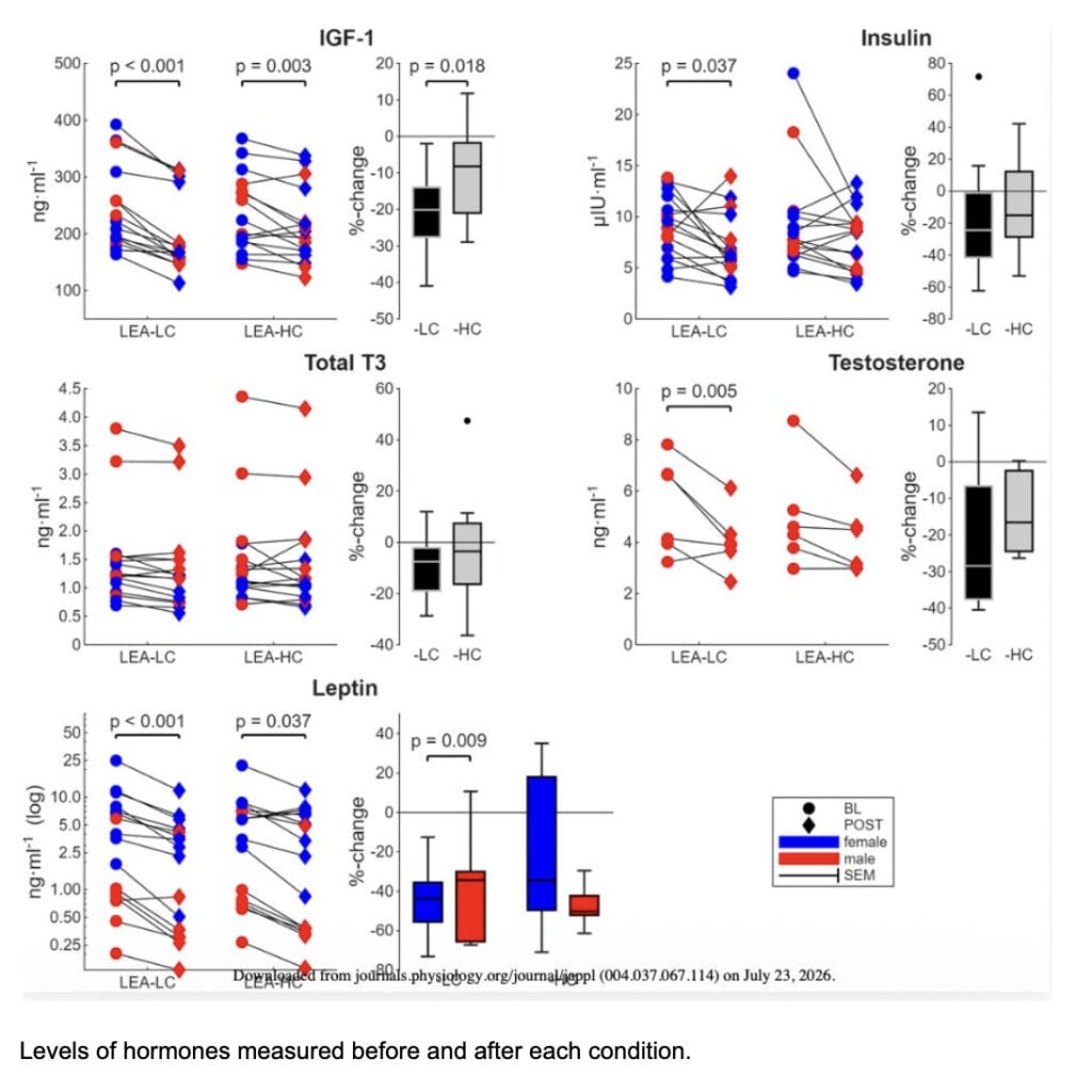 Calories Aren't the Whole Story: Why Carbohydrate Availability Matters For Runners 3 Calories Aren't the Whole Story: Why Carbohydrate Availability Matters For Runners 3