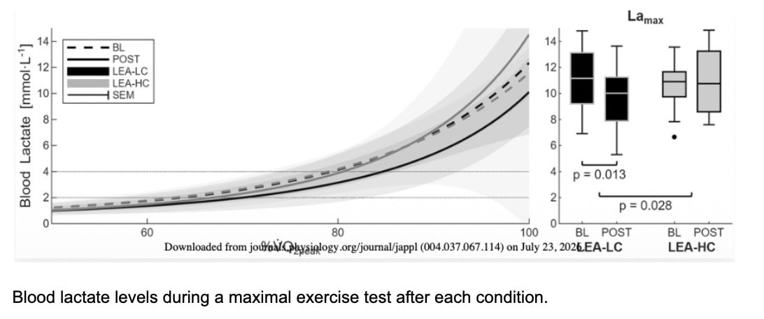 Calories Aren't the Whole Story: Why Carbohydrate Availability Matters For Runners 4 Calories Aren't the Whole Story: Why Carbohydrate Availability Matters For Runners 4