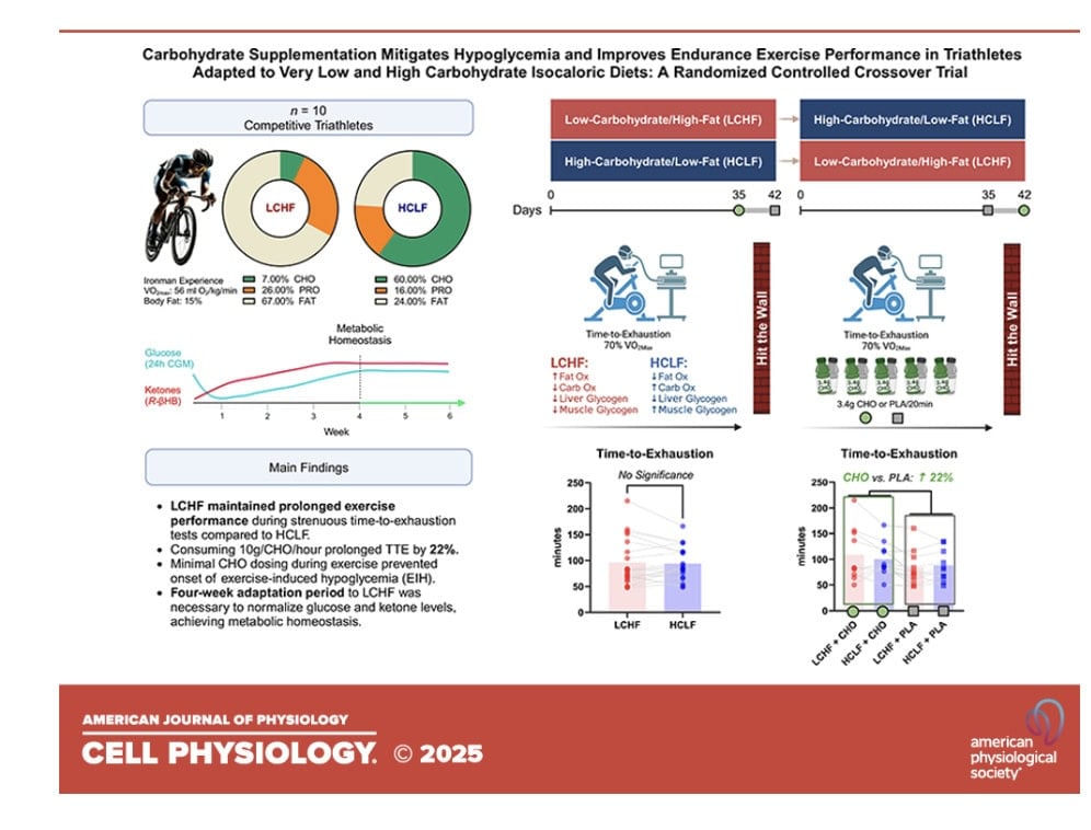 Does Fat Adaptation Make Carbs Optional? 2