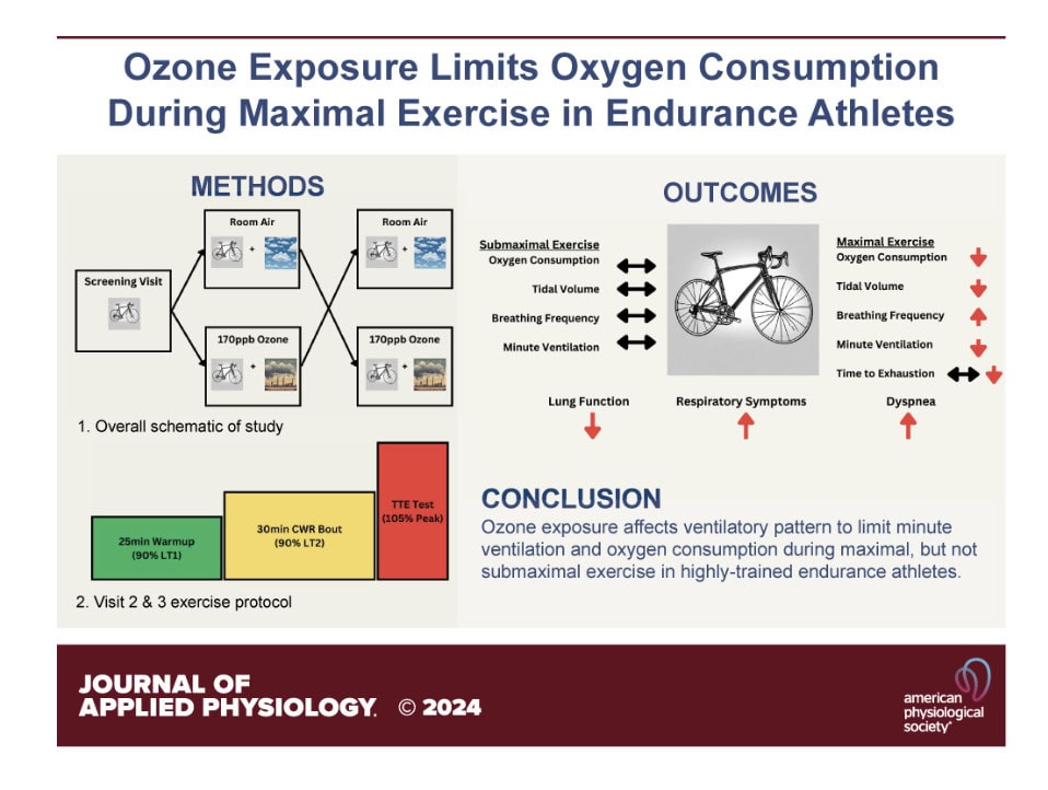 Ozone Can Cost You in Hard Workouts: What a New Study Found in Endurance Athletes 1