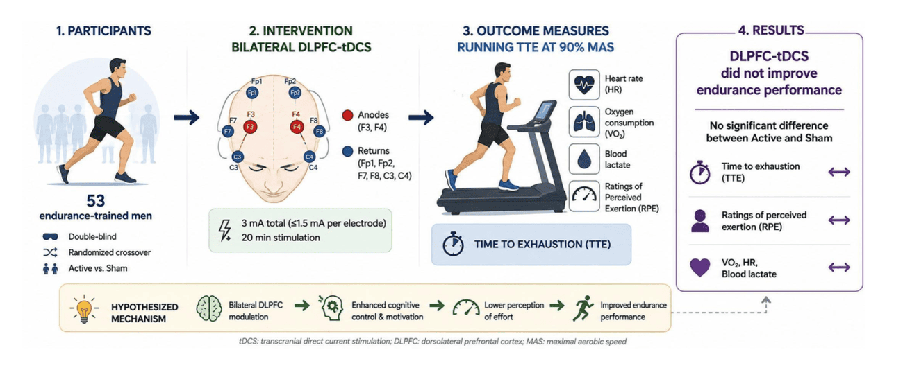 Does Brain Stimulation Boost Endurance? 2 Does Brain Stimulation Boost Endurance? 1