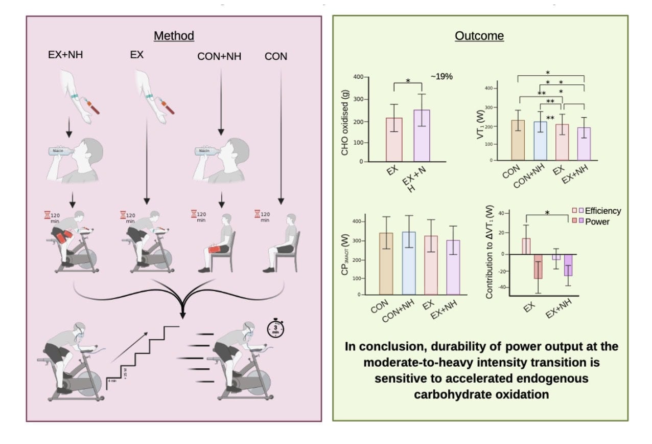 Can Carbs Make You More Durable? How Fueling Shapes Late-Race Performance 1
