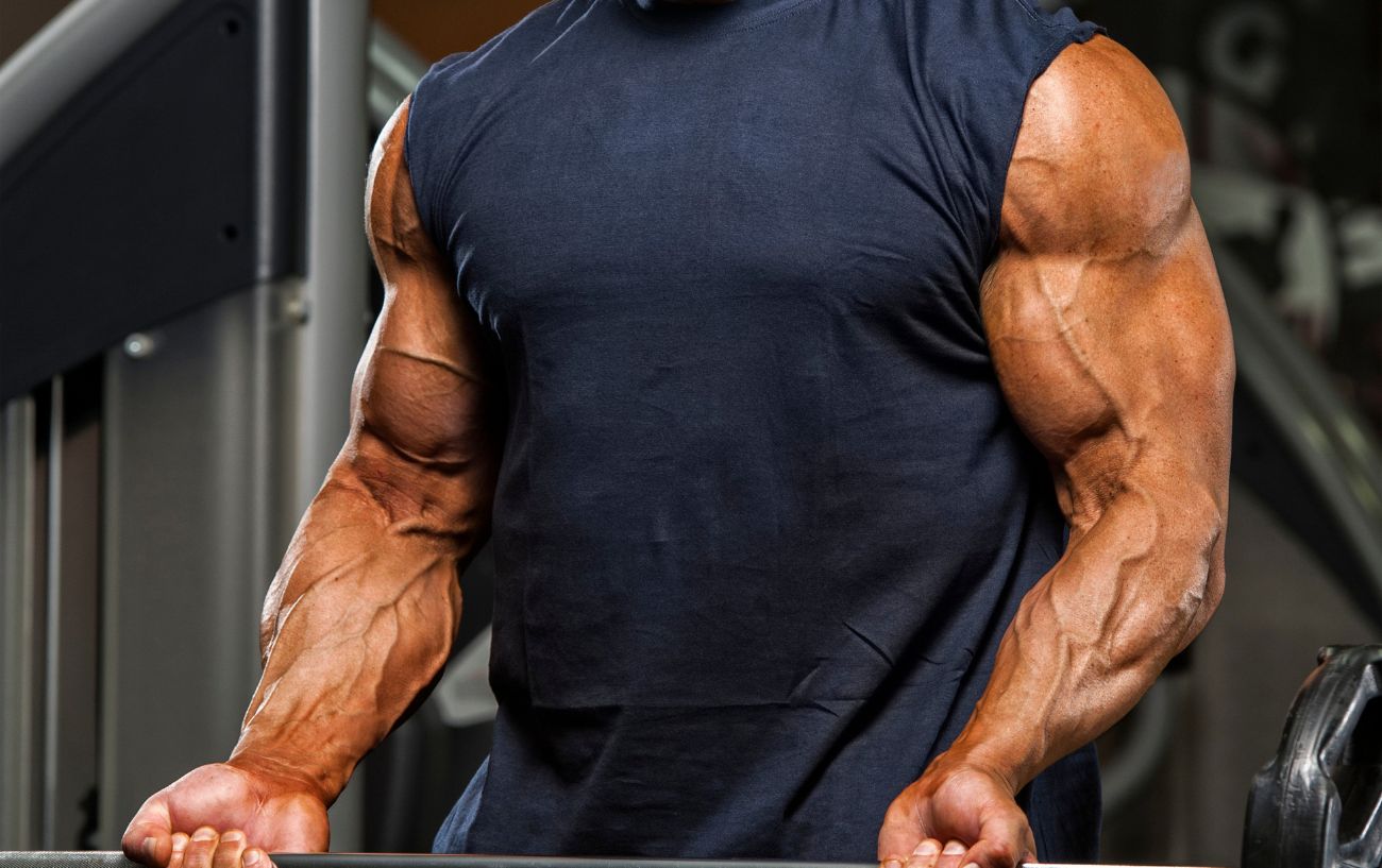 A muscular man doing a bicep curl.