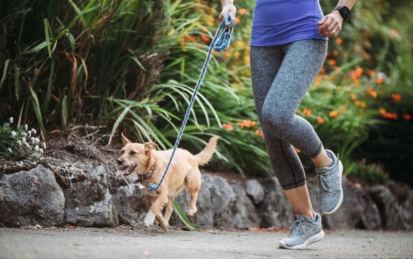 Walking Vs Jogging The Differences And Benefits Compared Walking Vs Jogging The Differences And Benefits Compared