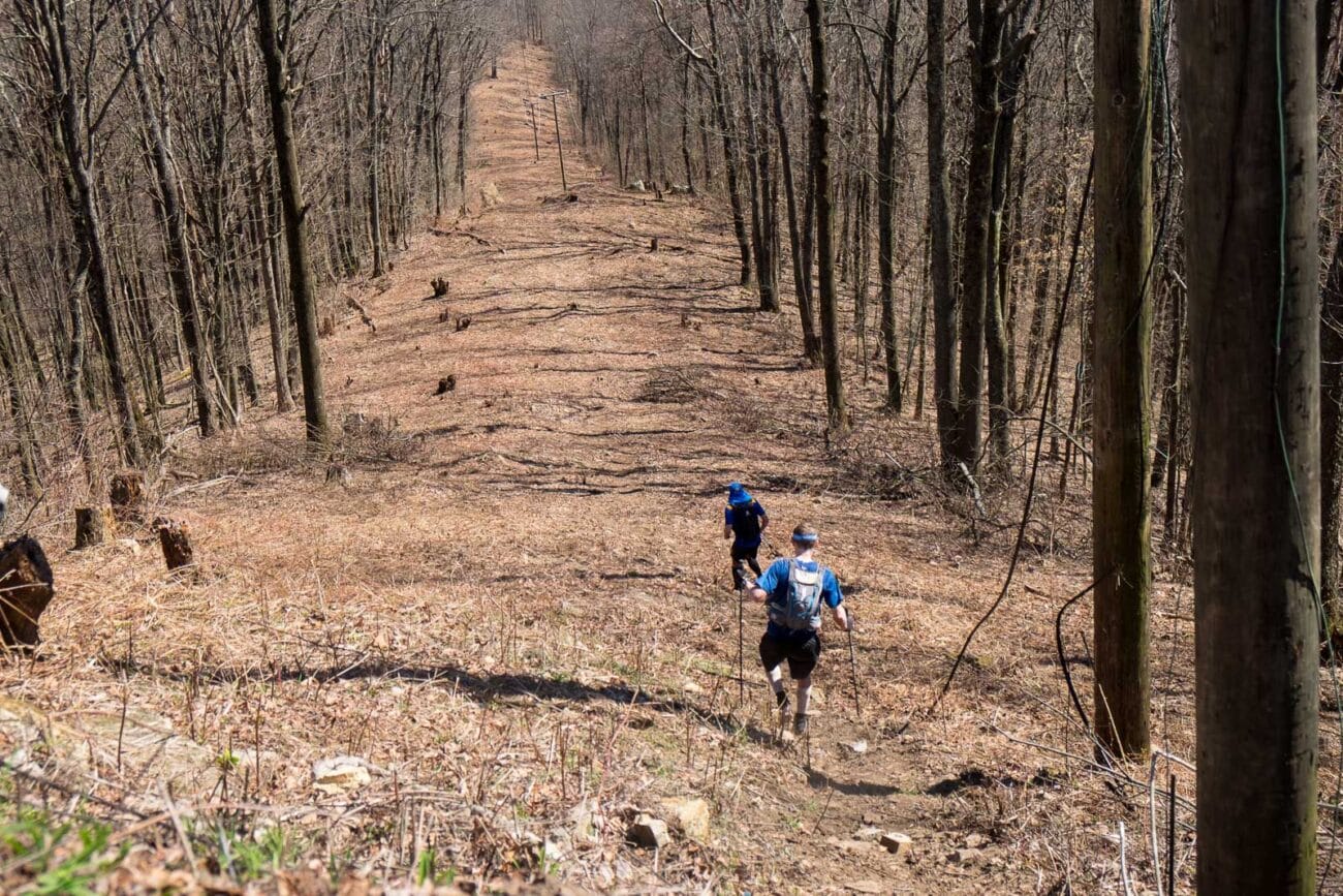 Damian Hall Says The Barkley Marathons Are Nicer Than You Think 3 Damian Hall Says The Barkley Marathons Are Nicer Than You Think 3