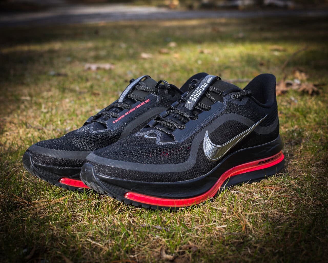 The Best Running Shoes for Threshold Pace, Long Runs, and Interval Running in 2025 6 nike pegasus premium