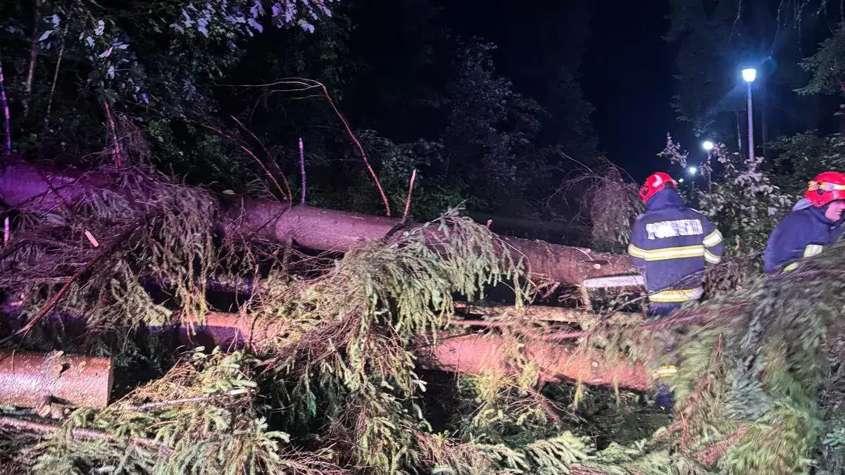 Romanian Ultrarunner Dies During Bucovina Ultra Rocks Amid Violent Storm 2 Romanian Ultrarunner Dies During Bucovina Ultra Rocks Amid Violent Storm 2