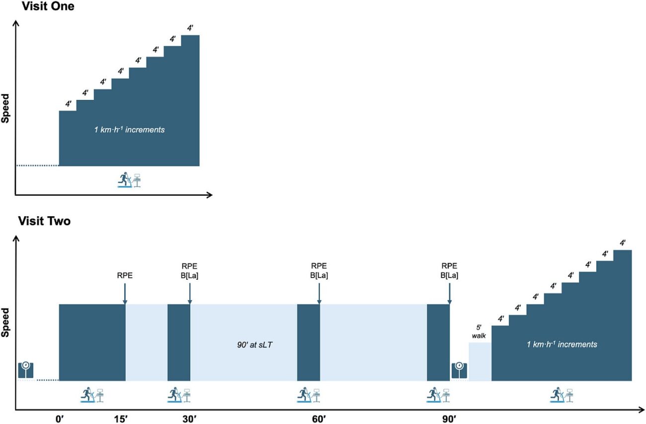Is Durability the Most Important Asset for Marathoners? 2