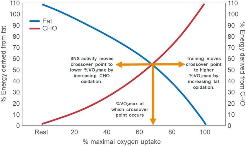 What If Muscle Glycogen Isn’t the Performance Limiter We Think It Is? 2