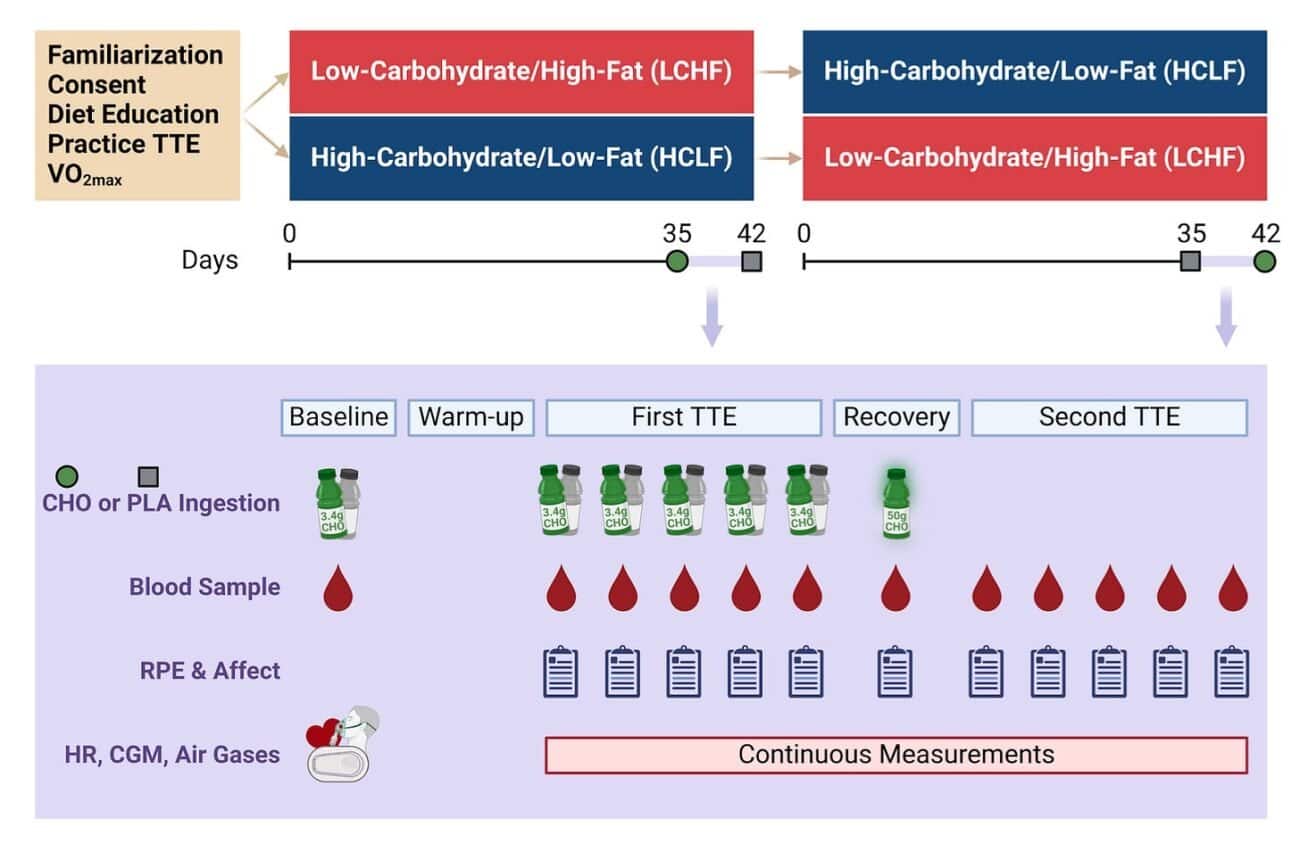 What If Muscle Glycogen Isn’t the Performance Limiter We Think It Is? 3
