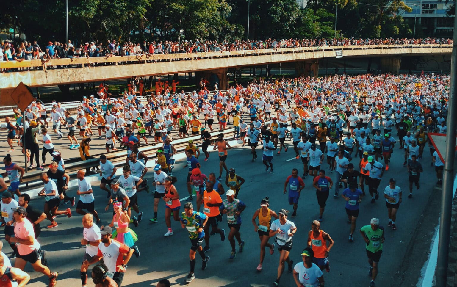 The Marathon Handbook Newsletter